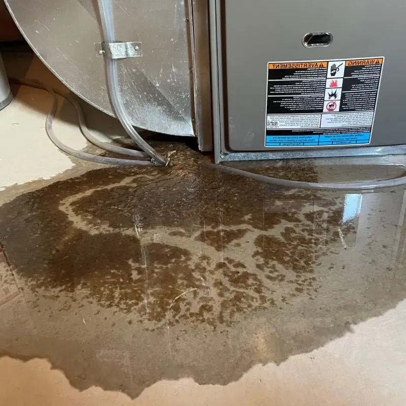 Pipe Burst and Leak Restoration in McKenzie, TN