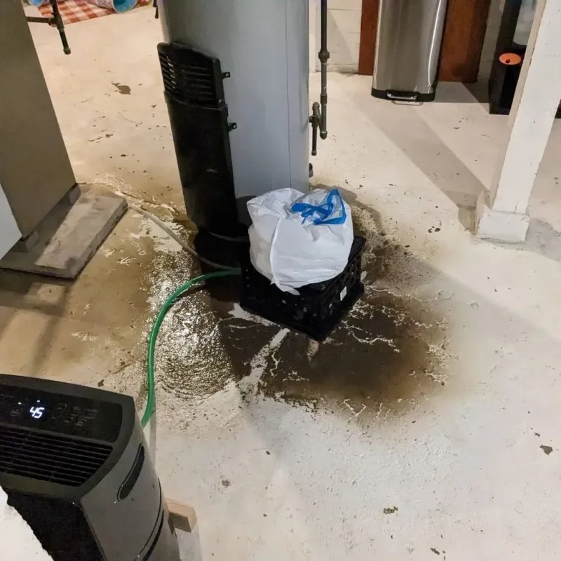 Sewage Backup Cleanup Service in McKenzie, TN